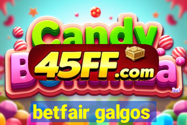 betfair galgos